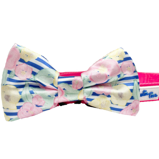 FIRST PRESS - PETS - NECKWEAR - Whatever Bow Tie