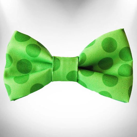 FIRST PRESS - PETS - NECKWEAR - Dot Bow Tie