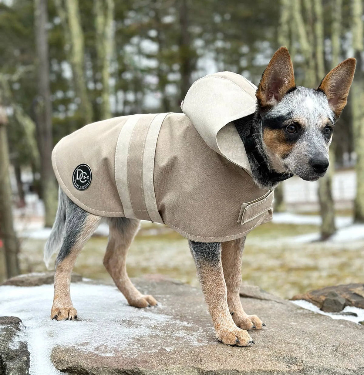 FIRST PRESS - PETS - URBAN CORE ADVENTURE COLLECTION - Sport Luxe Hooded Raincoat