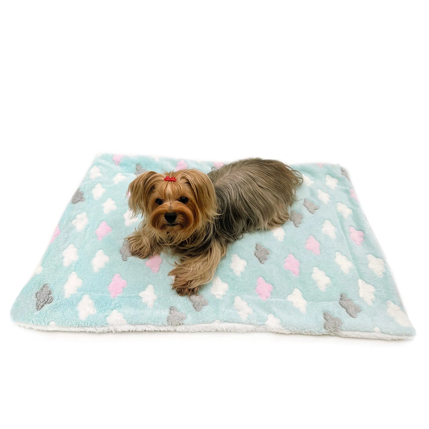 FIRST PRESS - PETS - URBAN CORE AFTER DARK - Cloud Fleece Plush Blanket
