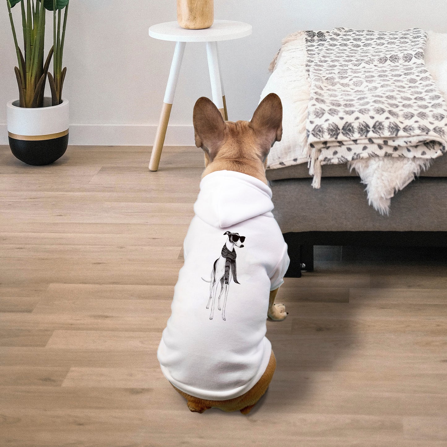 FIRST PRESS - PETS - Drawstring Luxury Hoodie - "Fashion Dog"