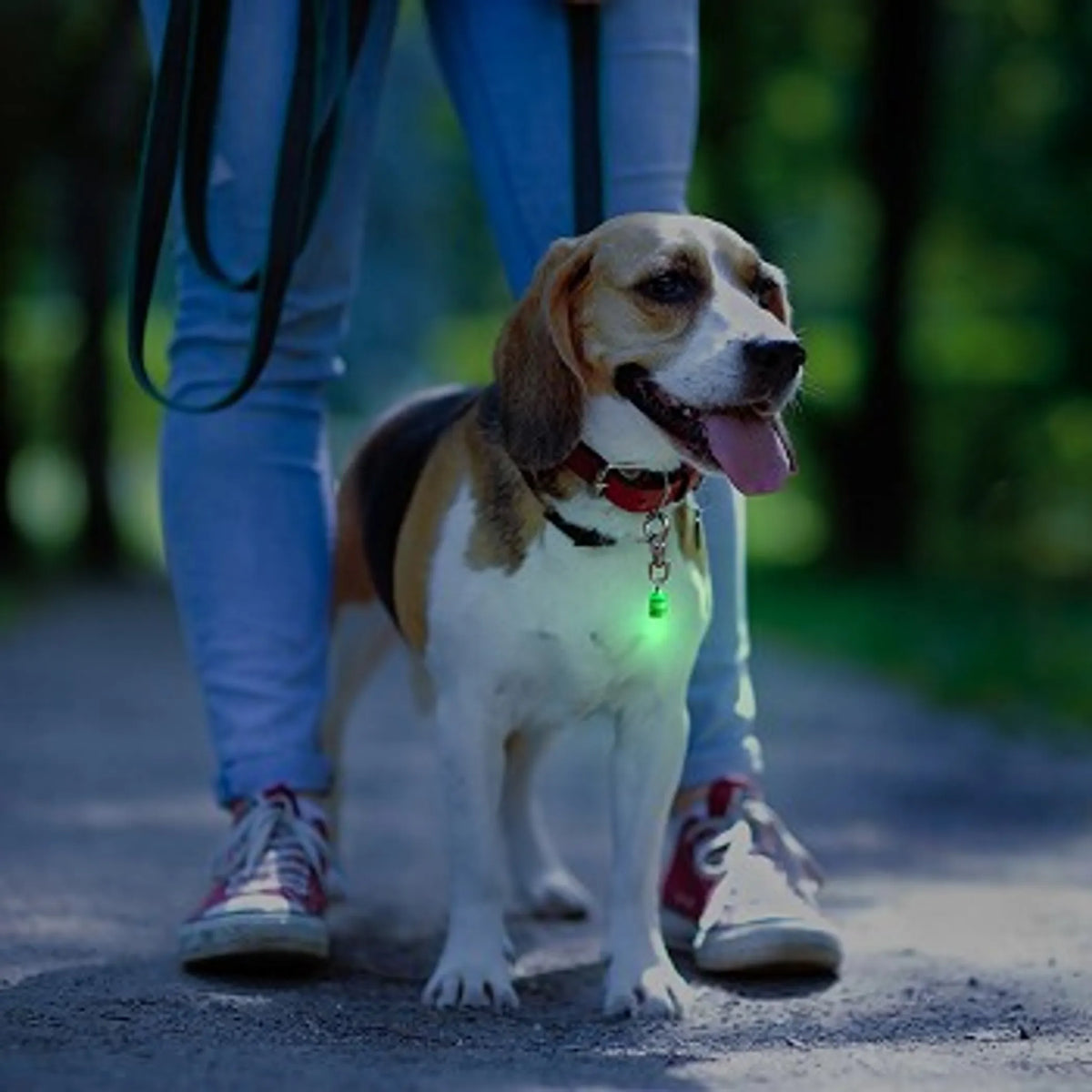 FIRST PRESS - PETS - STREET GEAR - Pet Blinkers™ LED Safety Light