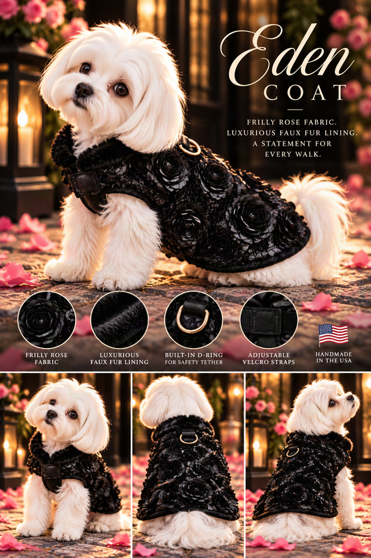 FIRST PRESS - PETS - URBAN CORE ADVENTURE COLLECTION - Eden Coat