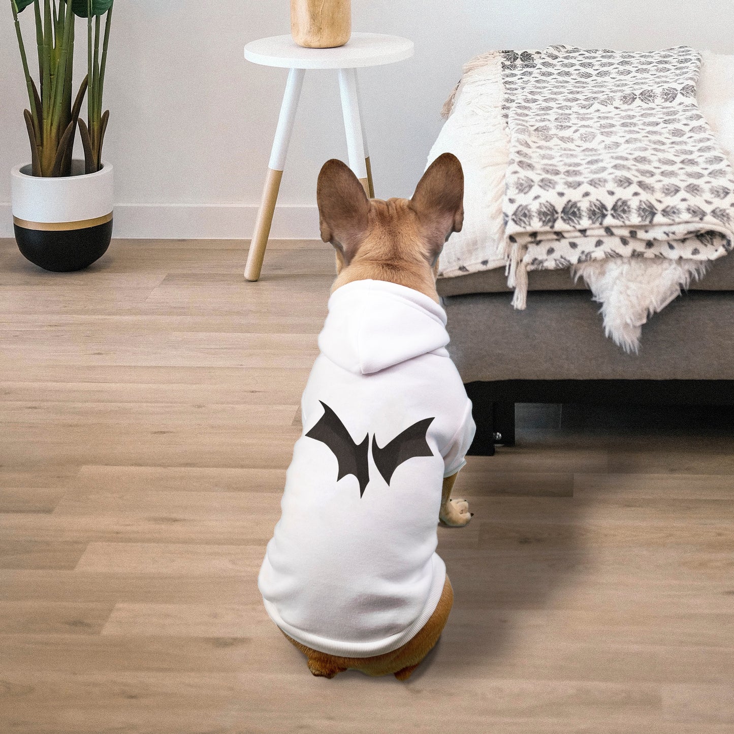 FIRST PRESS - PETS - Drawstring Luxury Hoodie - "Nocturne"