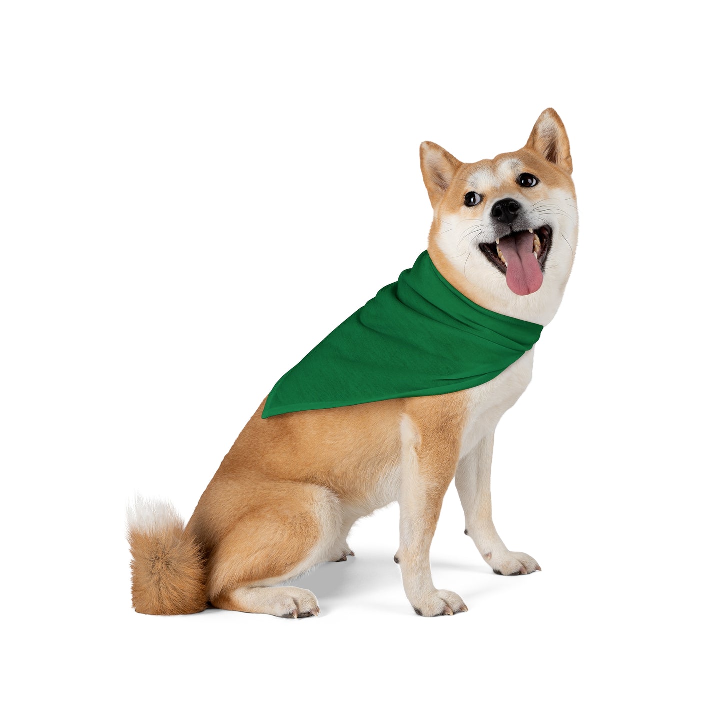 FIRST PRESS - PETS - BANDANA - "Ivy District"