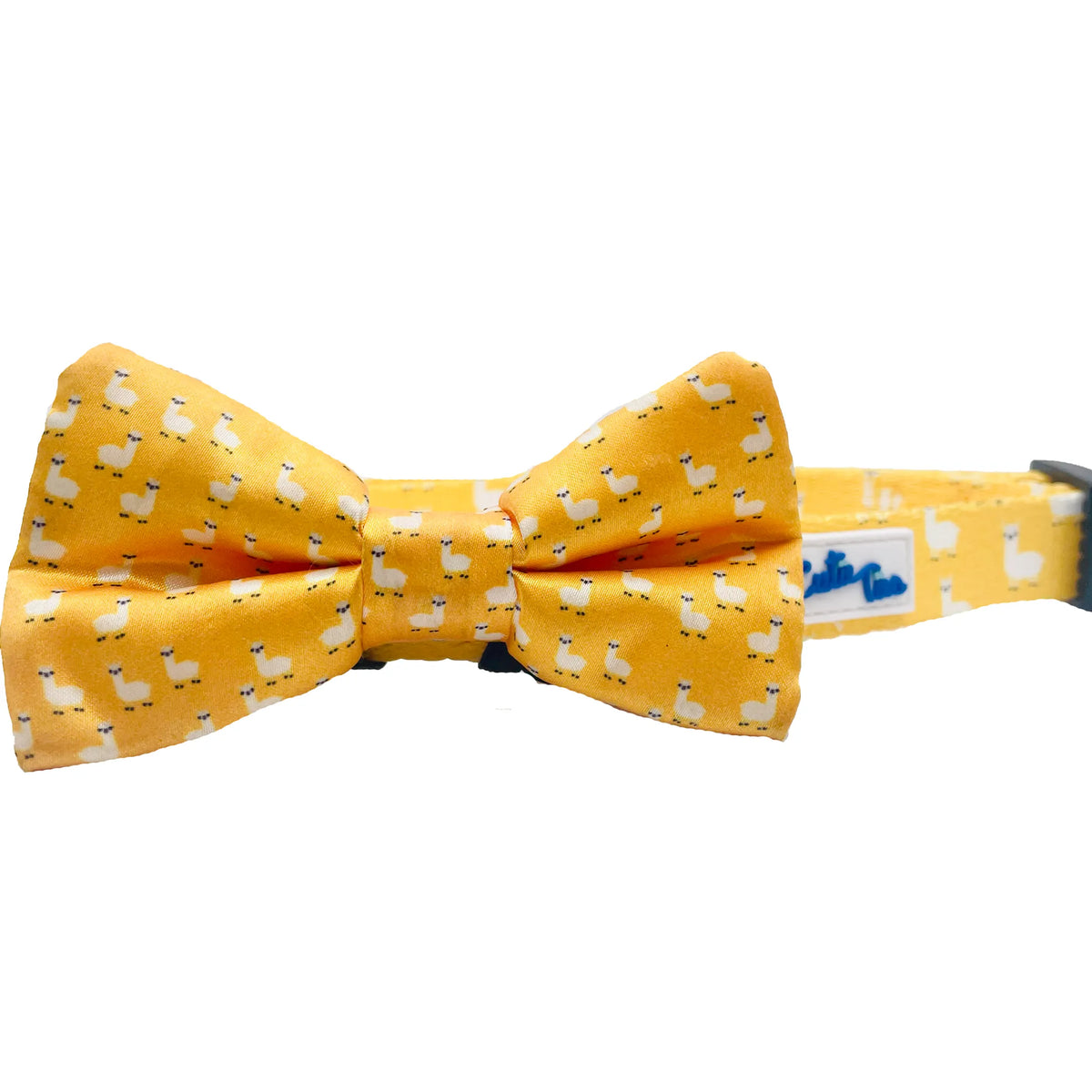 FIRST PRESS - PETS - NECKWEAR - Mood Bow Tie