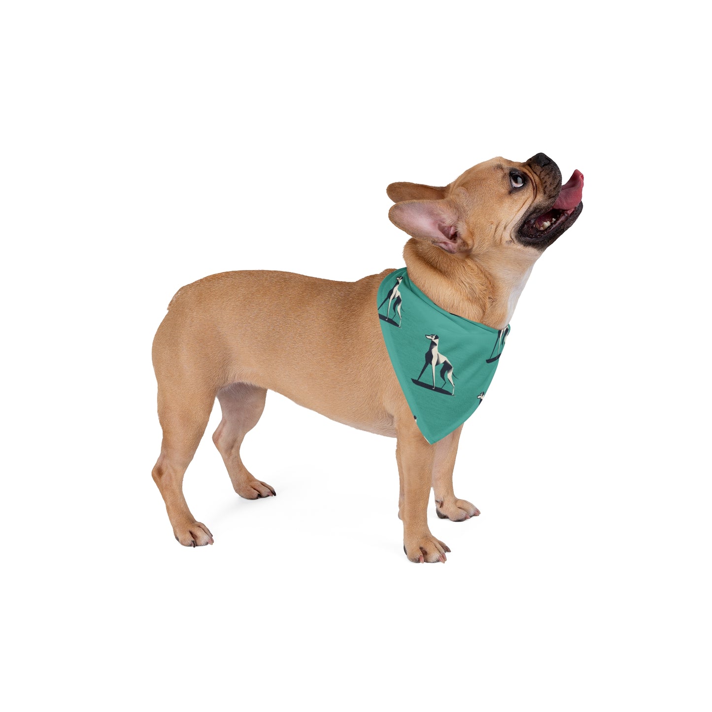 FIRST PRESS - PETS - BANDANA - "Forward Instinct"