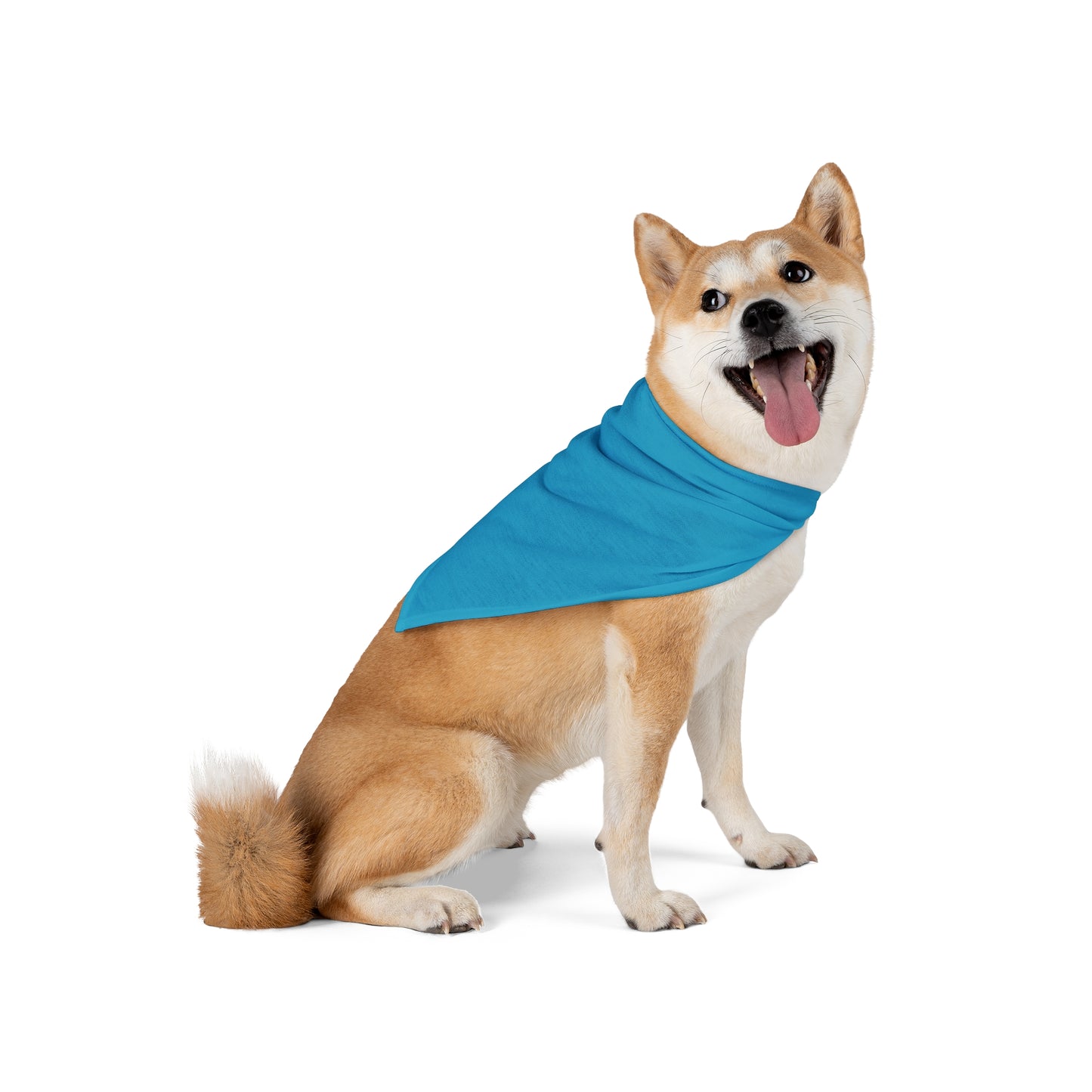 FIRST PRESS - PETS - BANDANA - "Capris Crush"