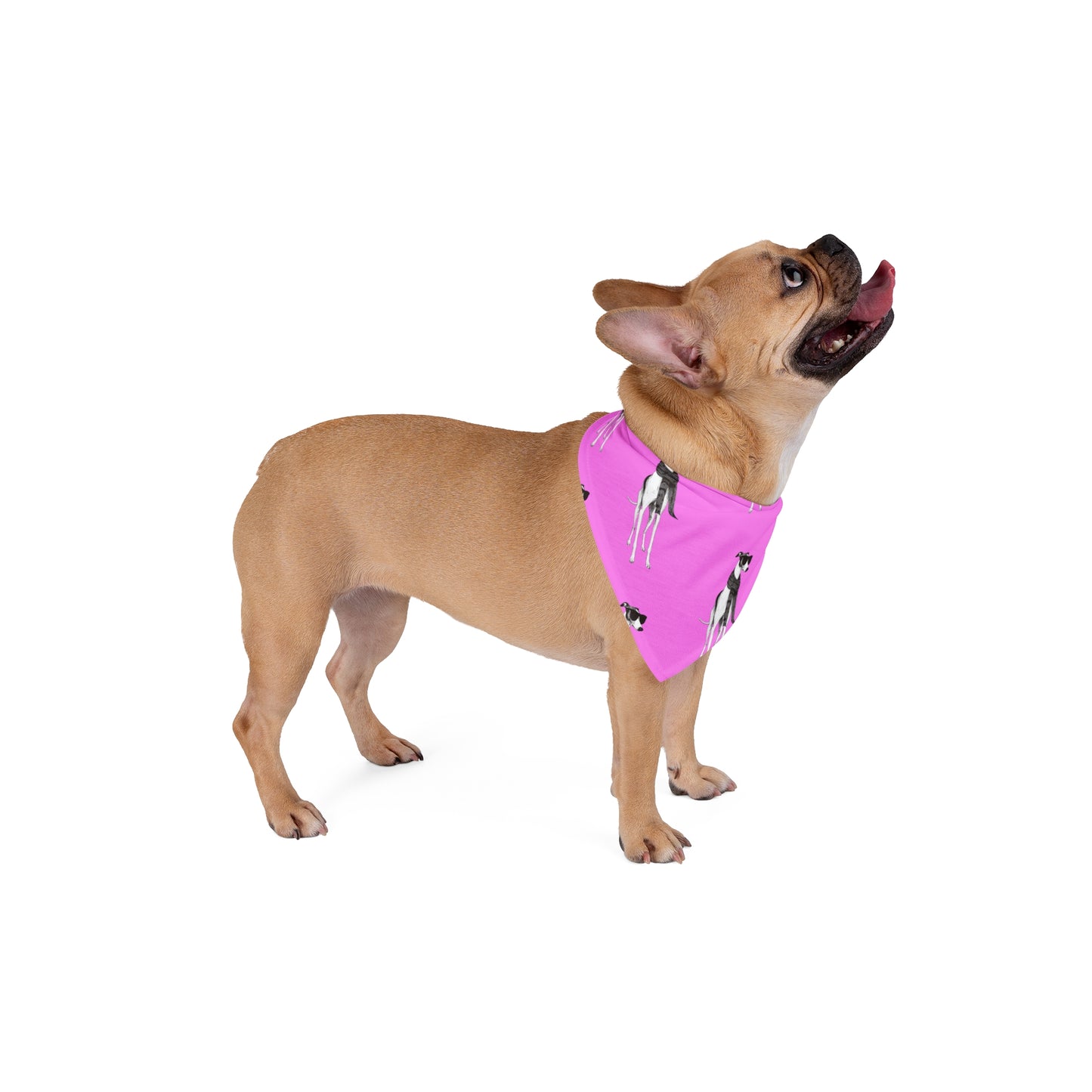 FIRST PRESS - PETS - BANDANA - "Fashion Dog"