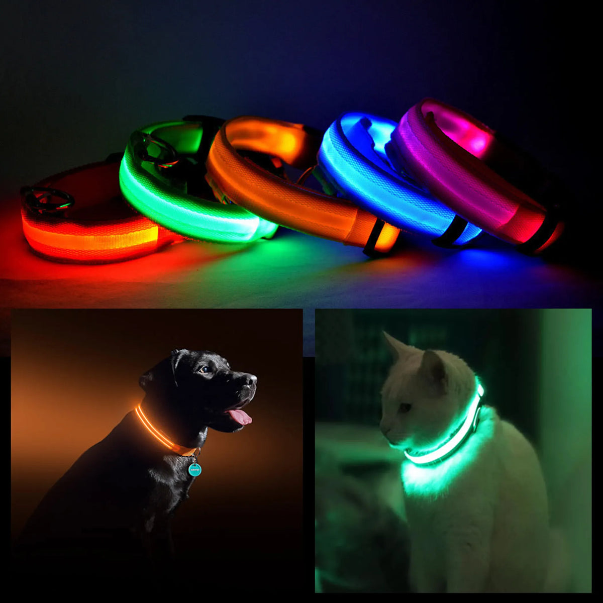 FIRST PRESS - PETS - STREET GEAR - Halo Glow Safety Collar