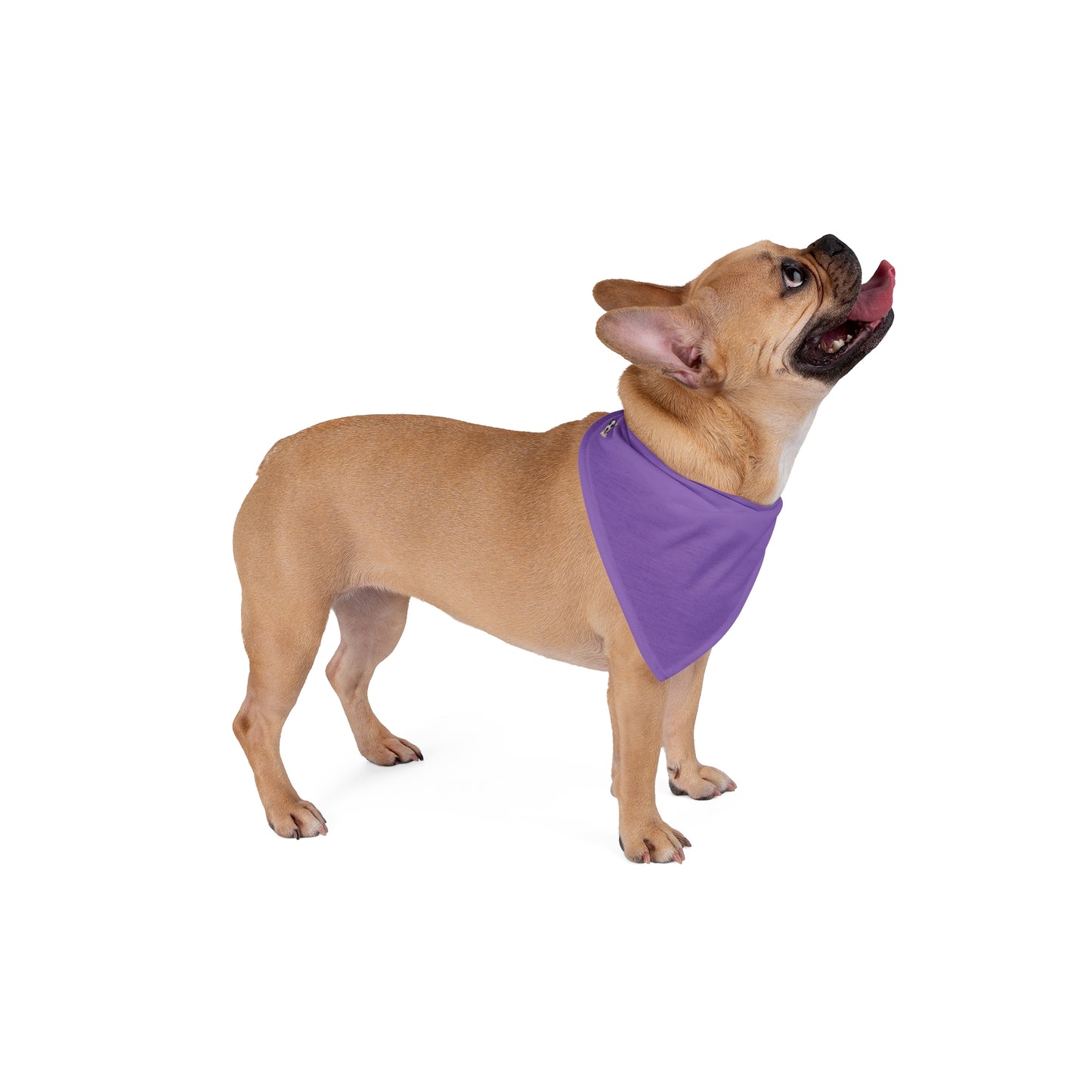 FIRST PRESS - PETS - BANDANA - "Lavender Fog"