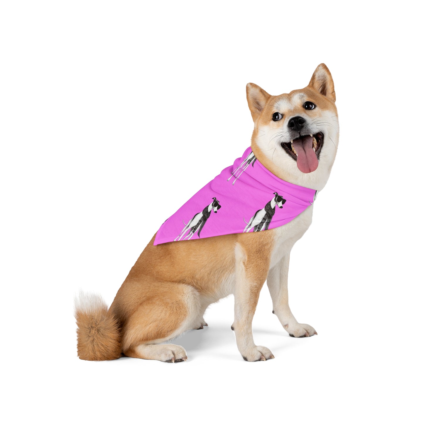 FIRST PRESS - PETS - BANDANA - "Fashion Dog"