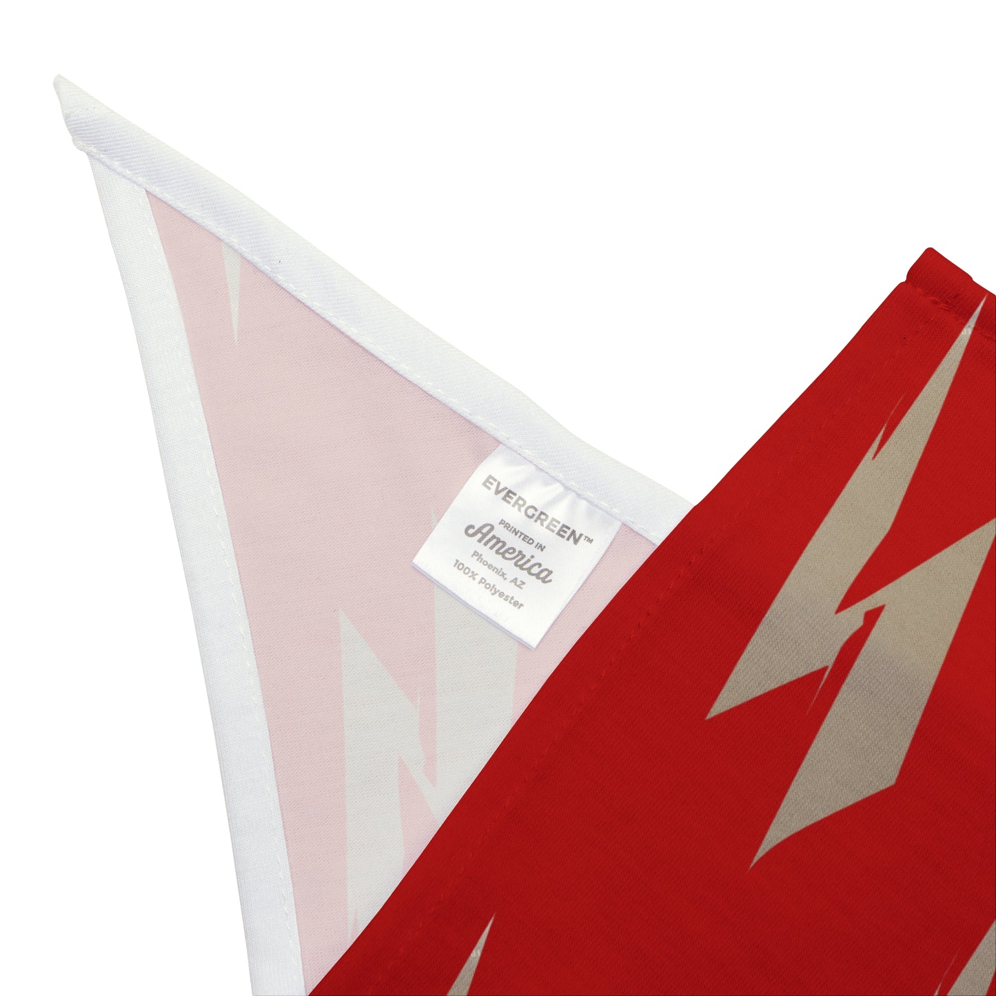 FIRST PRESS - PETS - BANDANA - "Quiet Bolt"