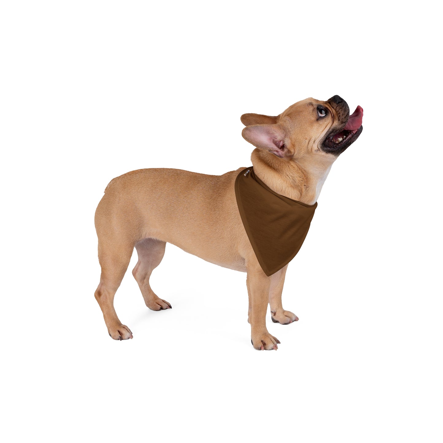 FIRST PRESS - PETS - BANDANA - "Espresso Press"