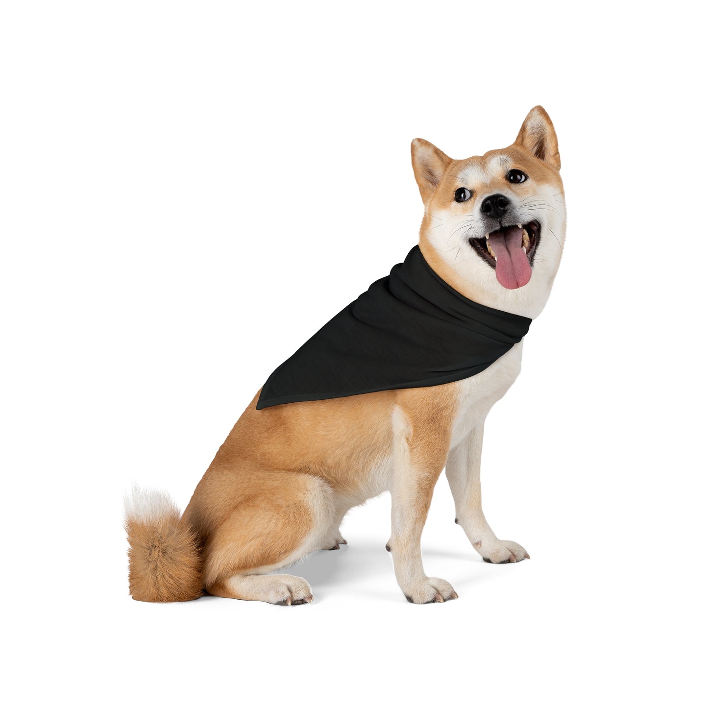 FIRST PRESS - PETS - BANDANA - "Ink Black"