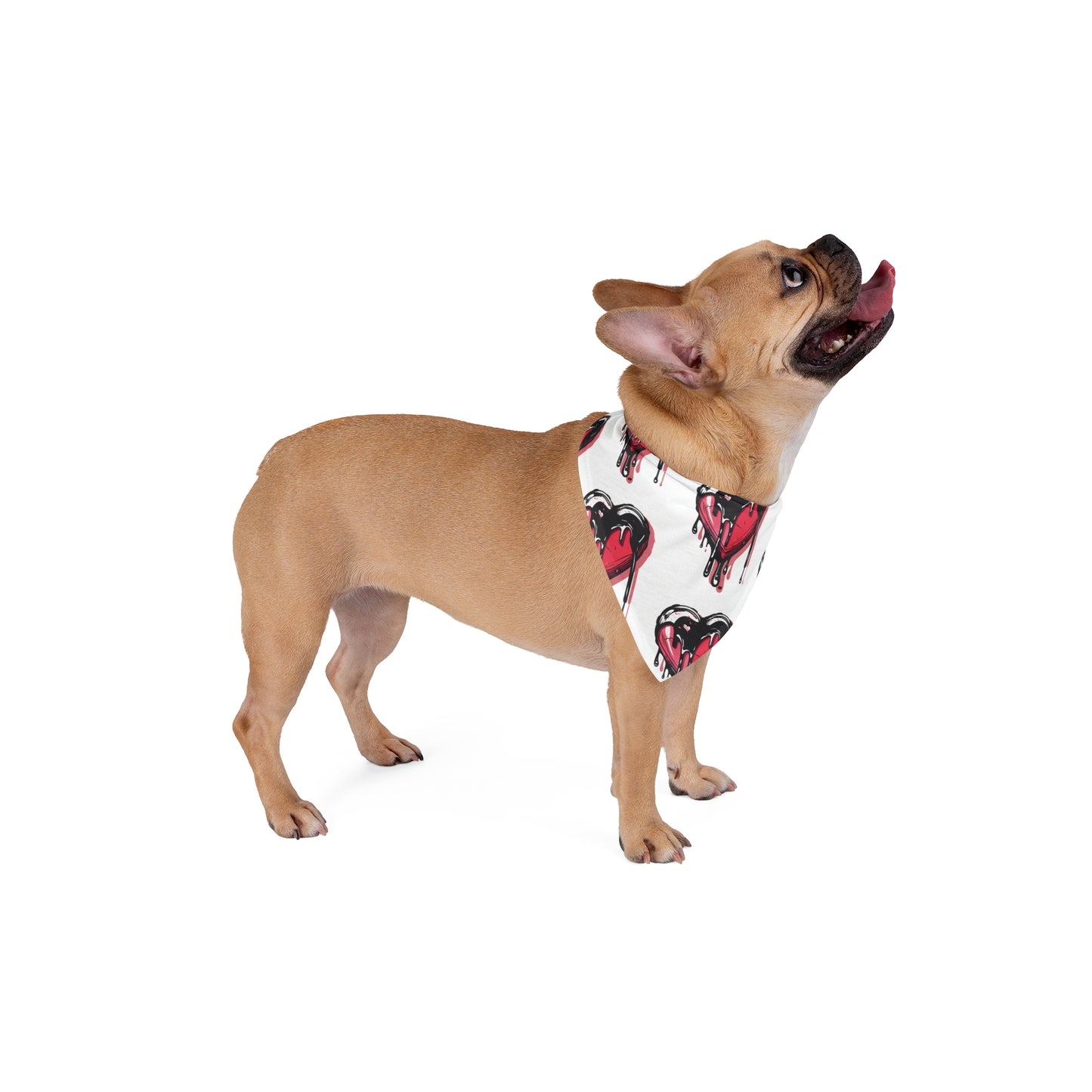 FIRST PRESS - PETS - BANDANA - "Melting Heart"