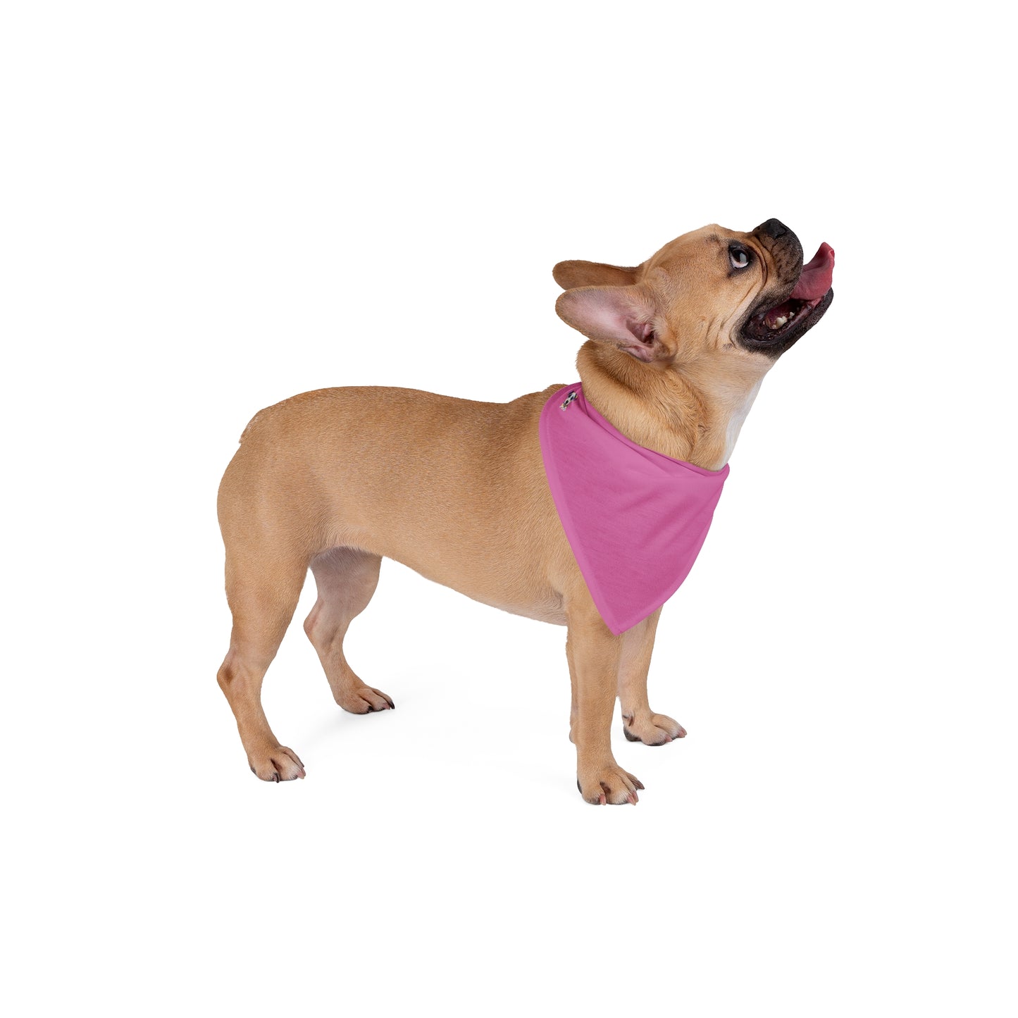 FIRST PRESS - PETS - BANDANA - "Pink Fog"