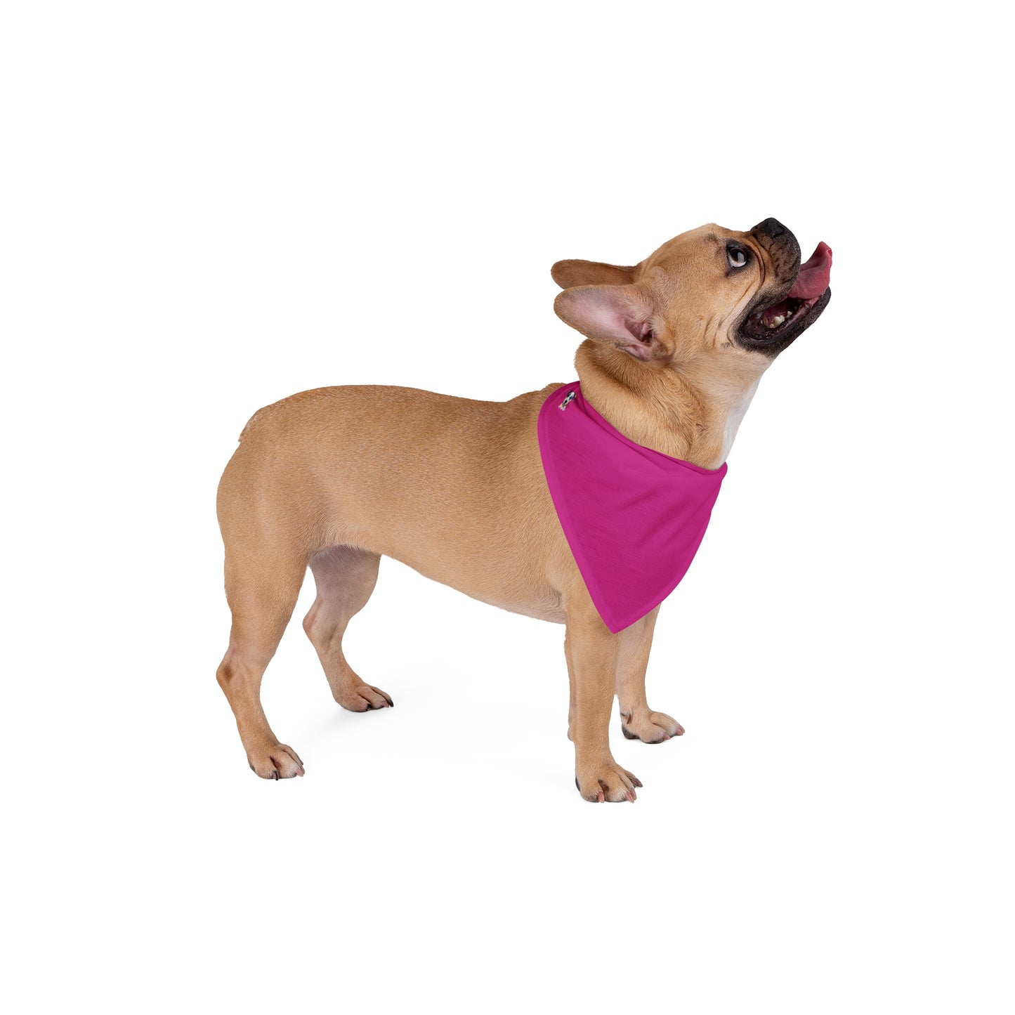 FIRST PRESS - PETS - BANDANA - "Rebel Pink"