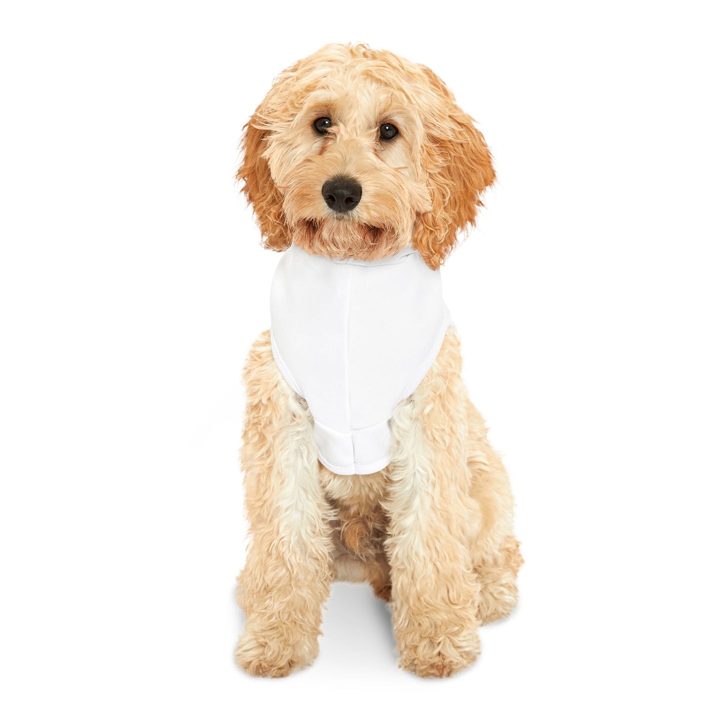 FIRST PRESS - TOON THEORY COLLECTION - "Pawp Art Pup" Hoodie
