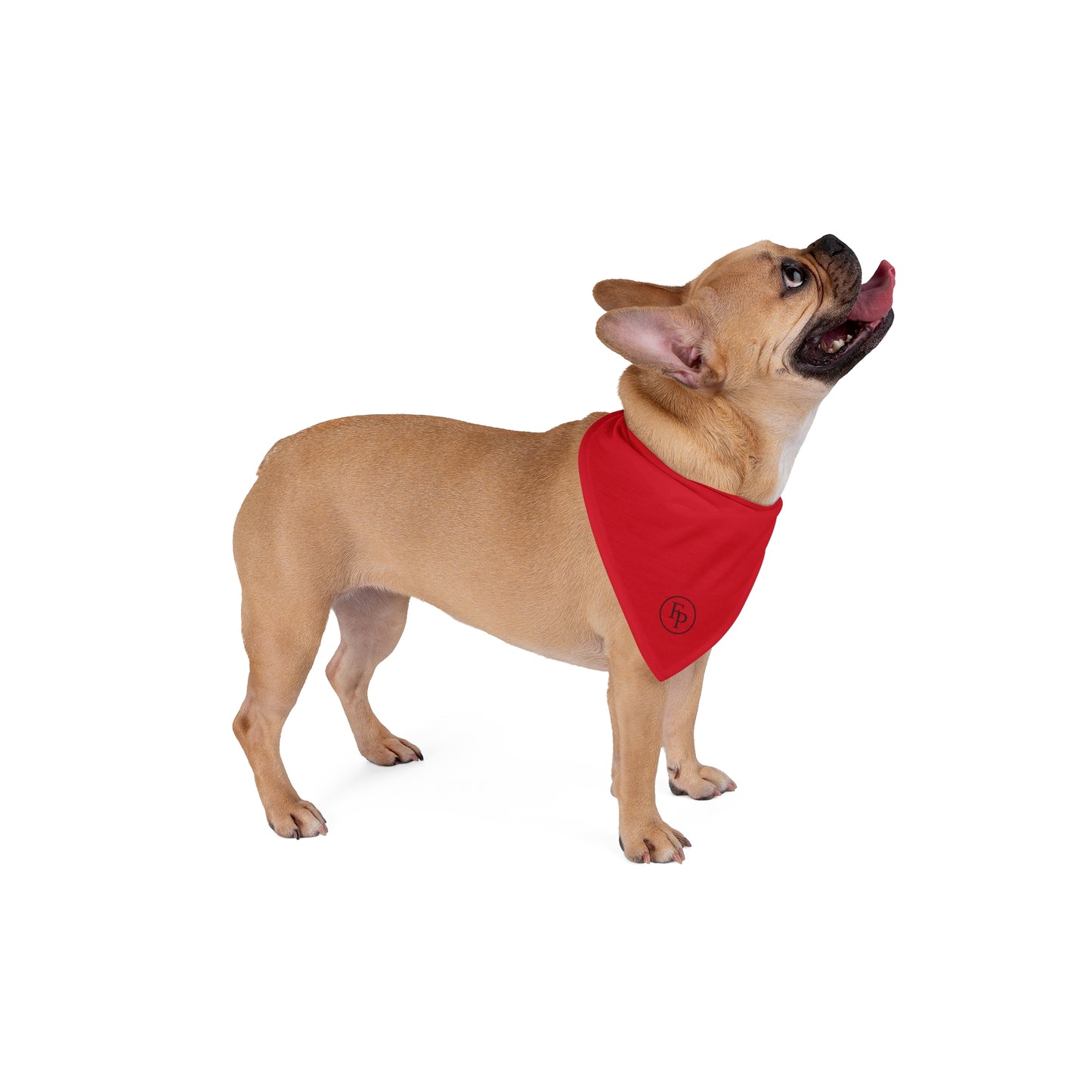 FIRST PRESS - PETS - BANDANA - "Cardinal Heart"
