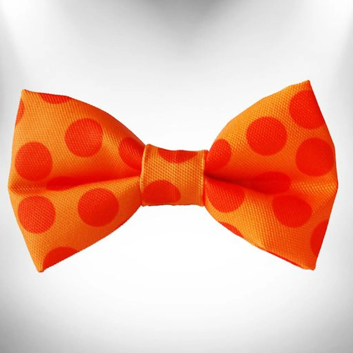 FIRST PRESS - PETS - NECKWEAR - Dot Bow Tie
