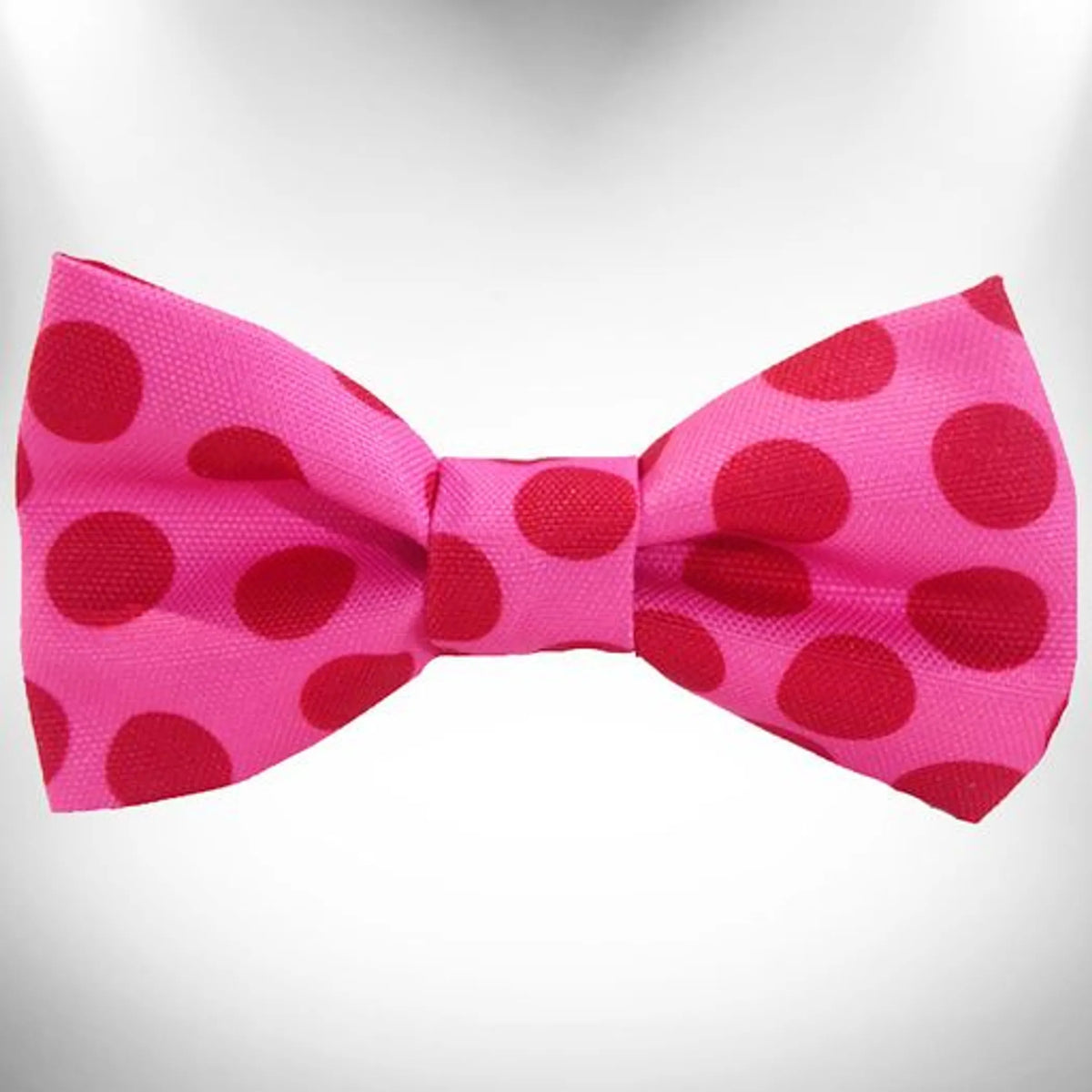 FIRST PRESS - PETS - NECKWEAR - Dot Bow Tie