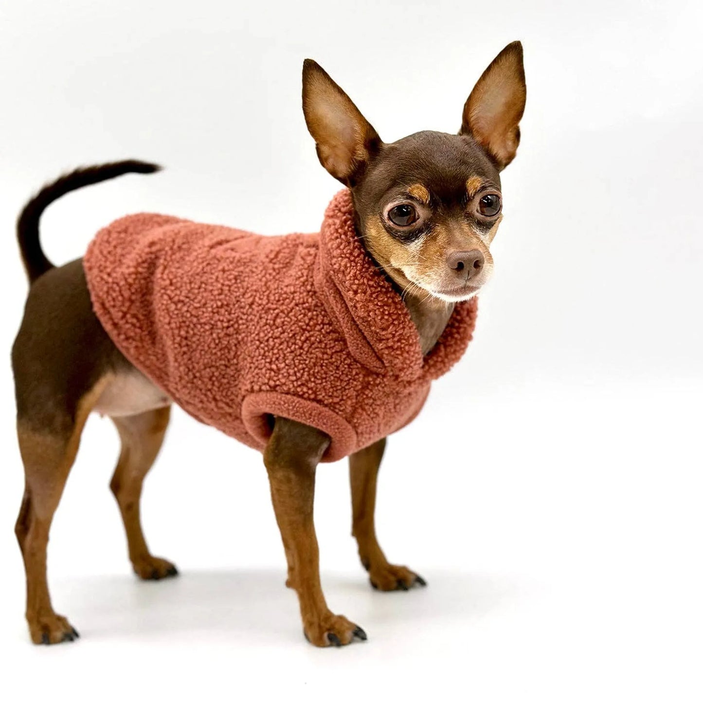 FIRST PRESS - PETS - URBAN CORE COLLECTION - Studio Pullover