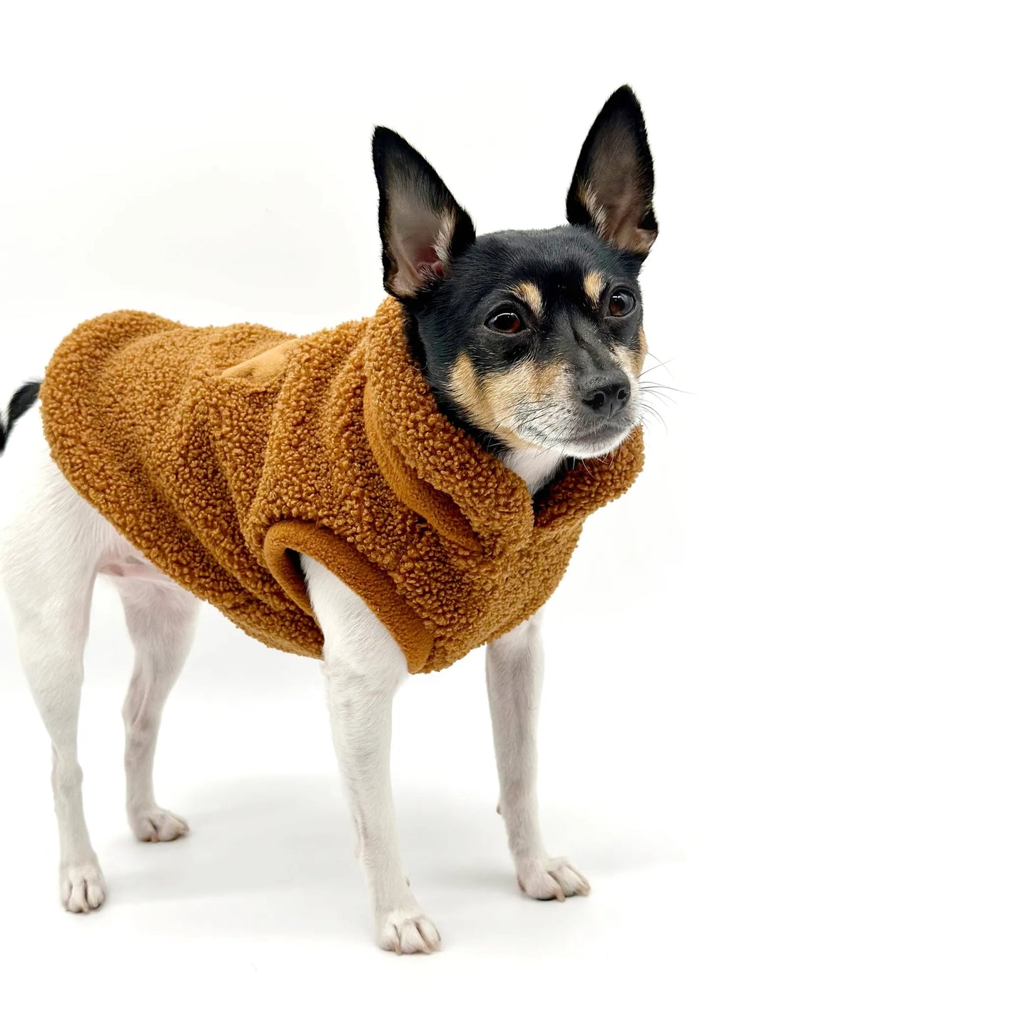 FIRST PRESS - PETS - URBAN CORE COLLECTION - Studio Pullover