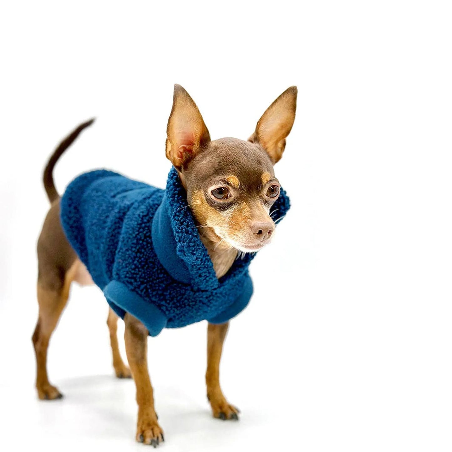 FIRST PRESS - PETS - URBAN CORE COLLECTION - Studio Pullover