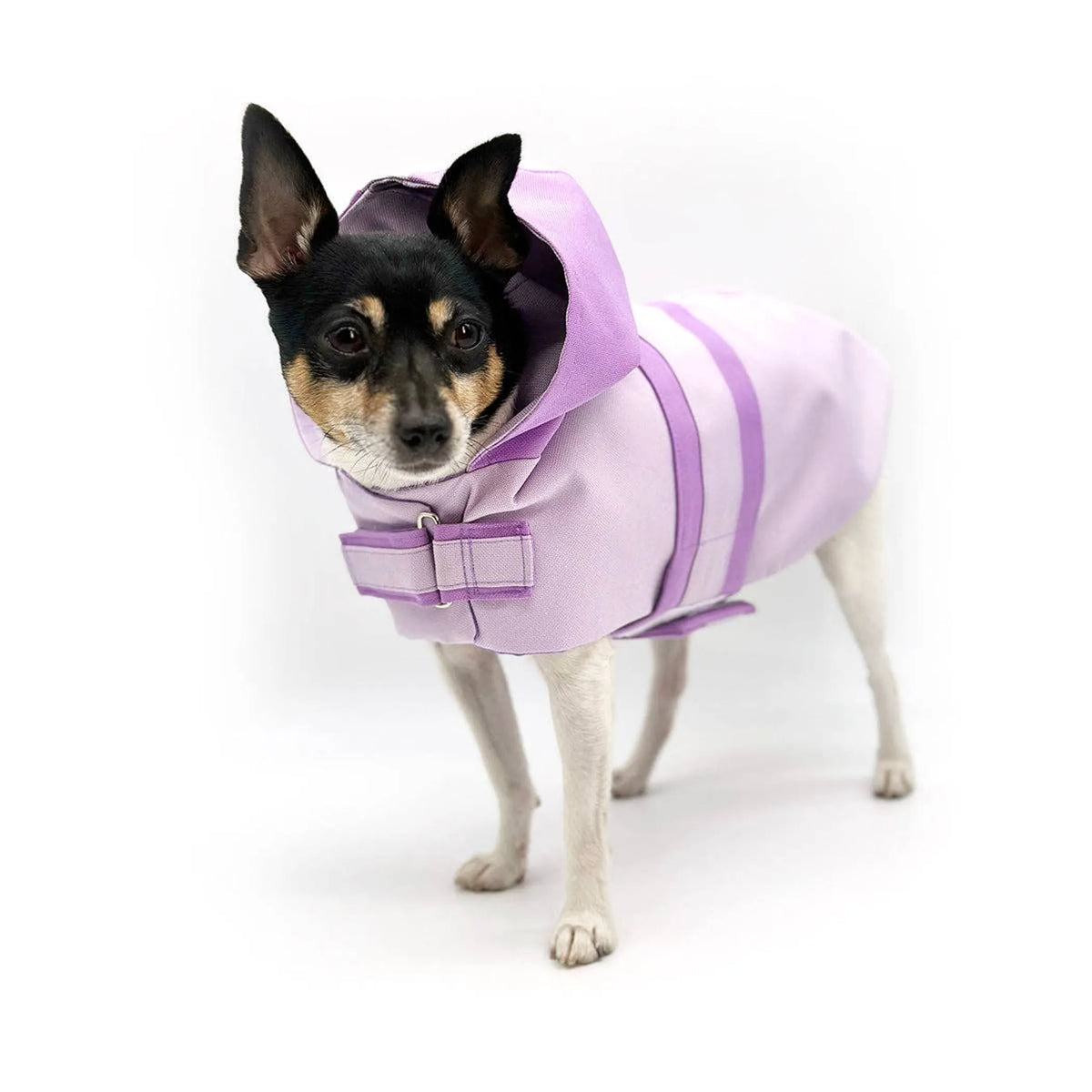FIRST PRESS - PETS - URBAN CORE ADVENTURE COLLECTION - Sport Luxe Hooded Raincoat