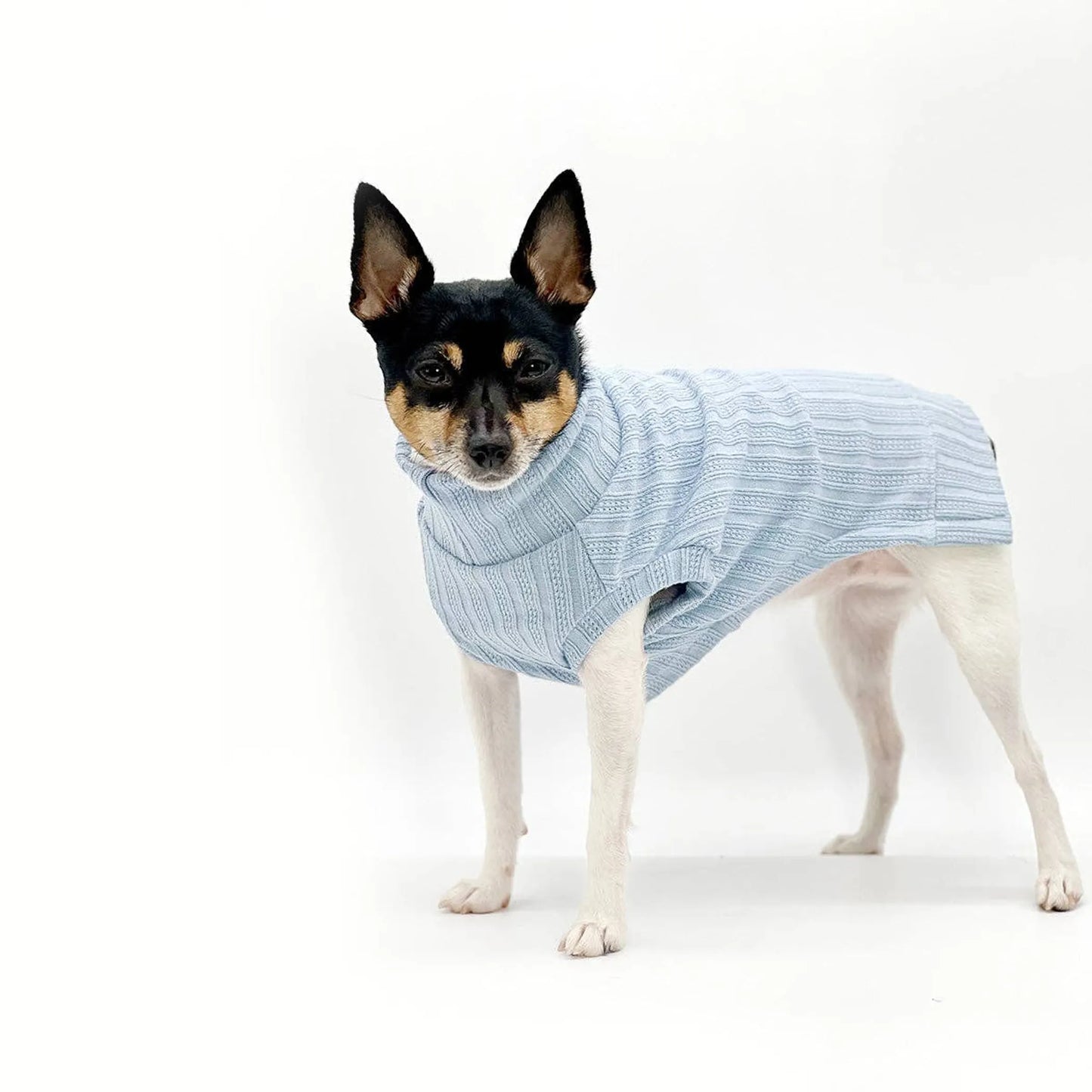 FIRST PRESS - PETS - URBAN CORE COLLECTION - Urban Core Knit