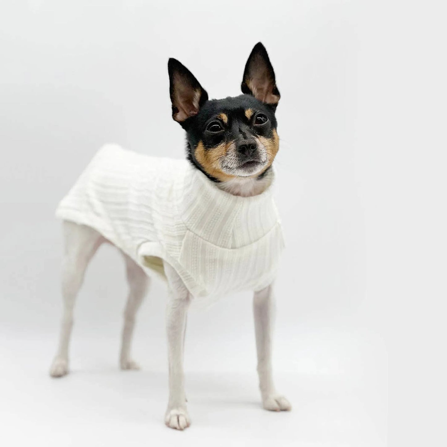 FIRST PRESS - PETS - URBAN CORE COLLECTION - Urban Core Knit