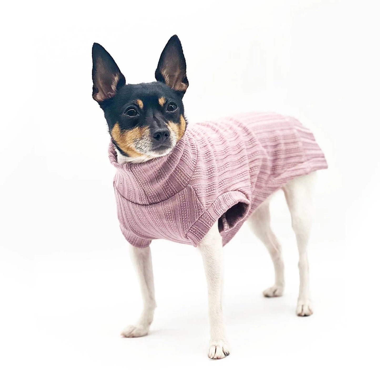 FIRST PRESS - PETS - URBAN CORE COLLECTION - Urban Core Knit