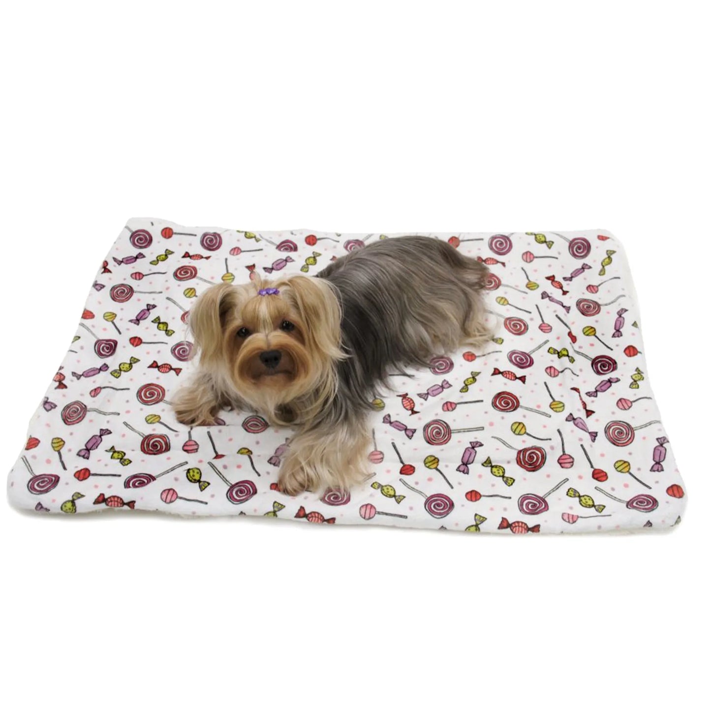 FIRST PRESS - PETS - URBAN CORE AFTER DARK - Candy Fleece Plush Blanket
