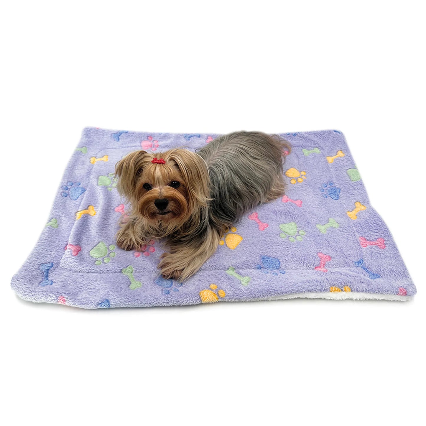 FIRST PRESS - PETS - URBAN CORE AFTER DARK - Paws Fleece Plush Blanket