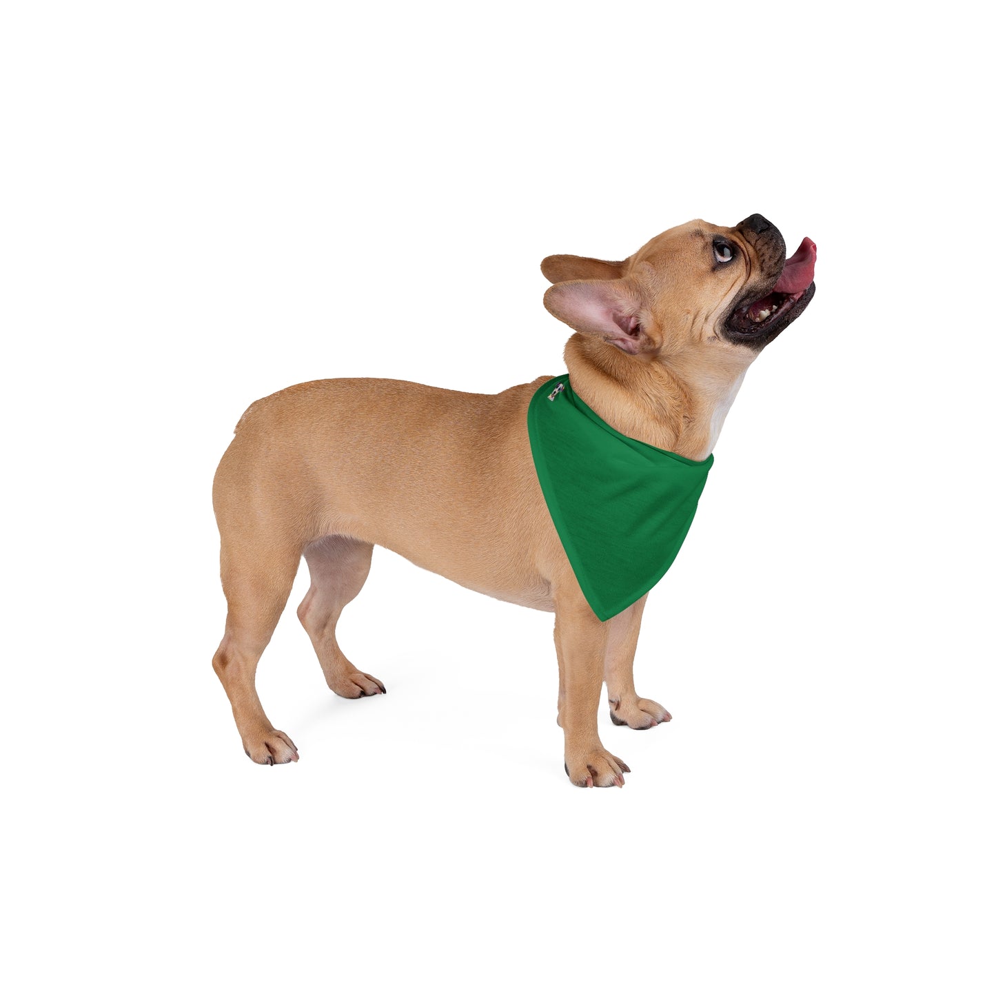 FIRST PRESS - PETS - BANDANA - "Ivy District"