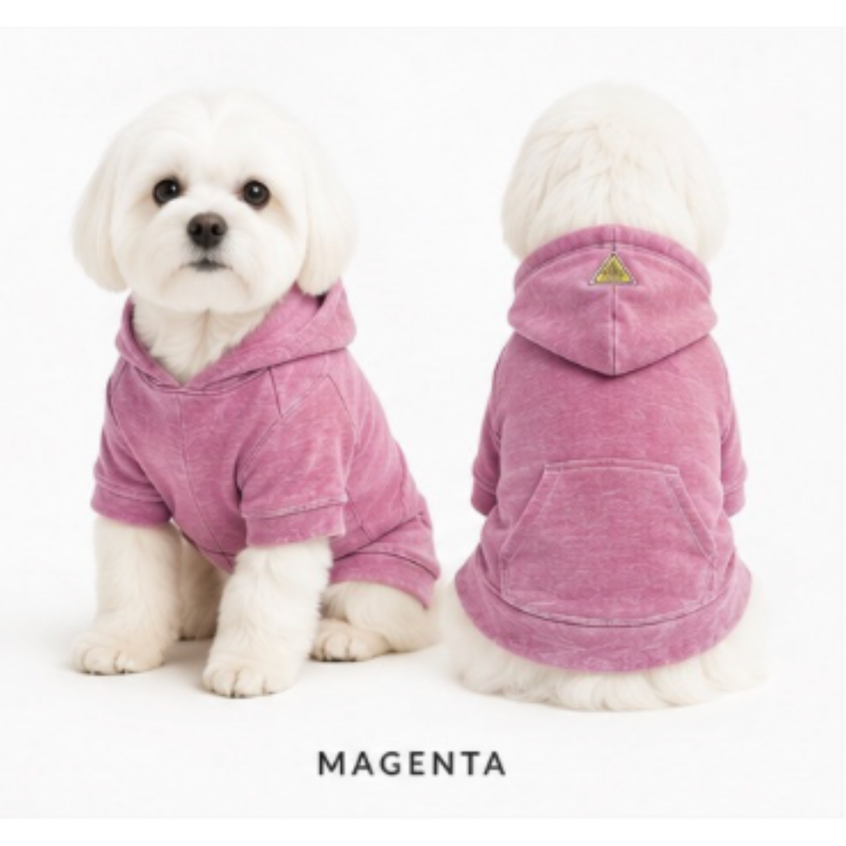 FIRST PRESS - PETS - URBAN CORE COLLECTION - Burnout Washed Hoodie