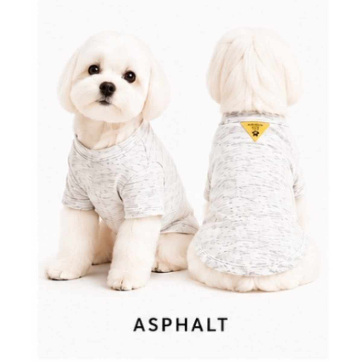 FIRST PRESS - PETS - TEES - Burnout Washed Tee