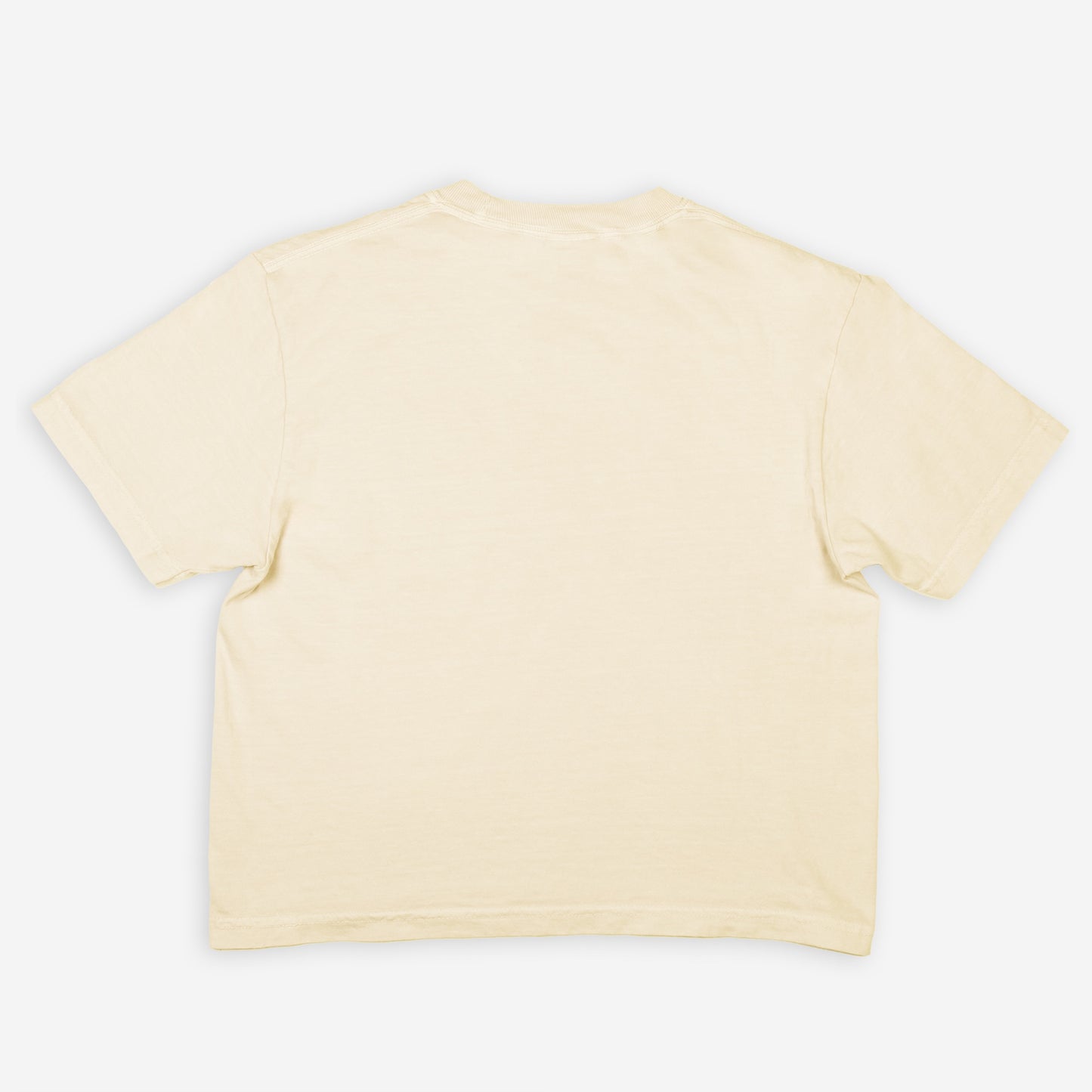 FIRST PRESS - HUMAN EDITION - WOMEN'S CROPPED BOXY TEE - "Wild Current"