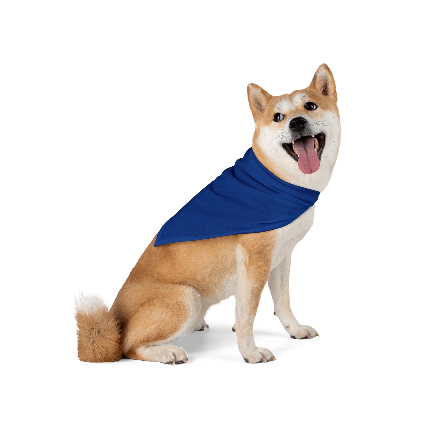 FIRST PRESS - PETS - BANDANA - "Electric Blue"