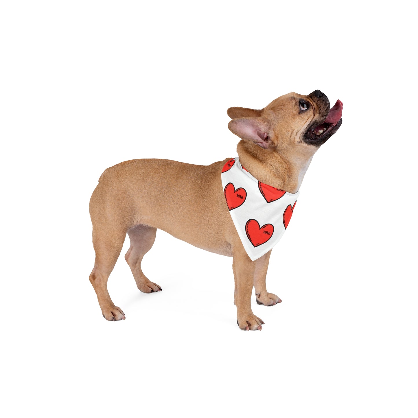 FIRST PRESS - PETS - BANDANA -  "XOXO"