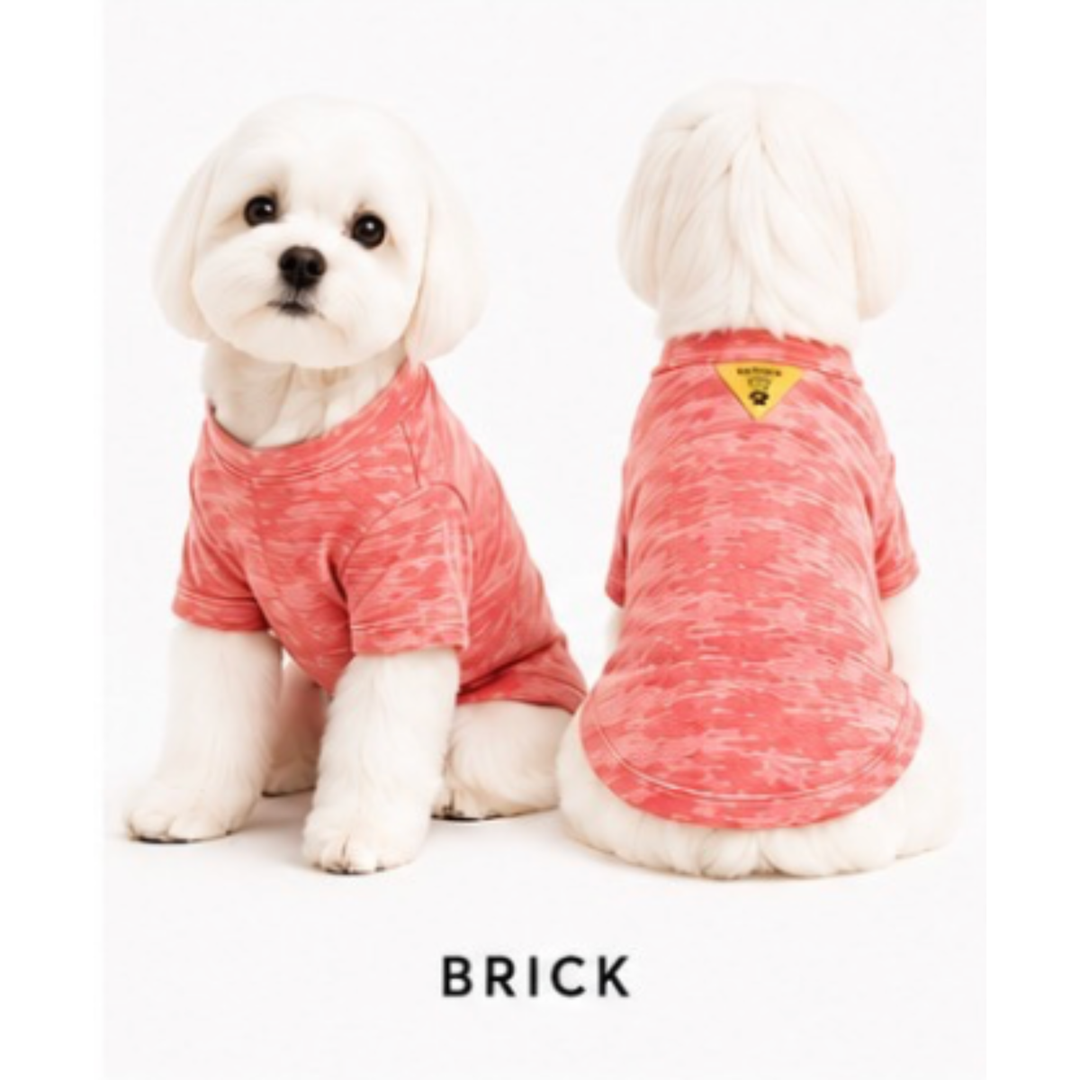 FIRST PRESS - PETS - TEES - Burnout Washed Tee