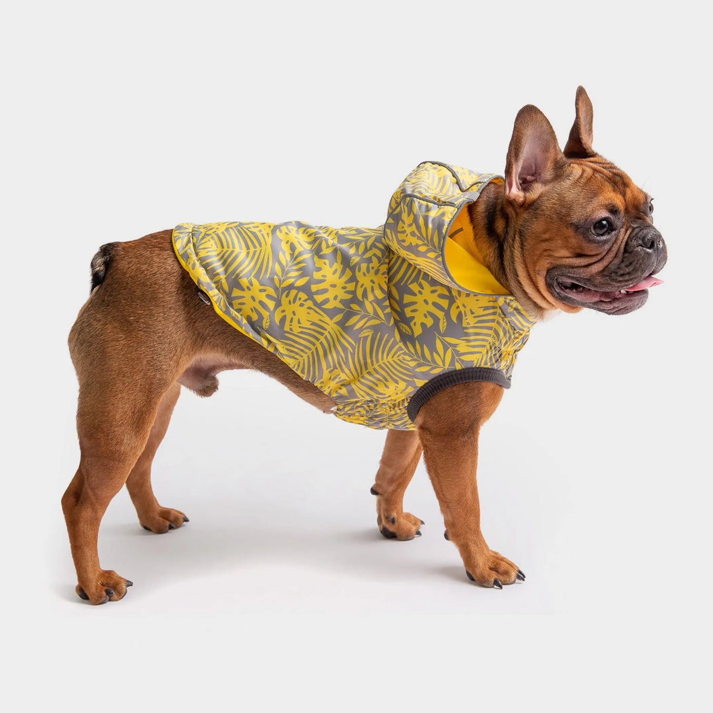 FIRST PRESS - PETS - URBAN CORE ADVENTURE COLLECTION - Weather Shell