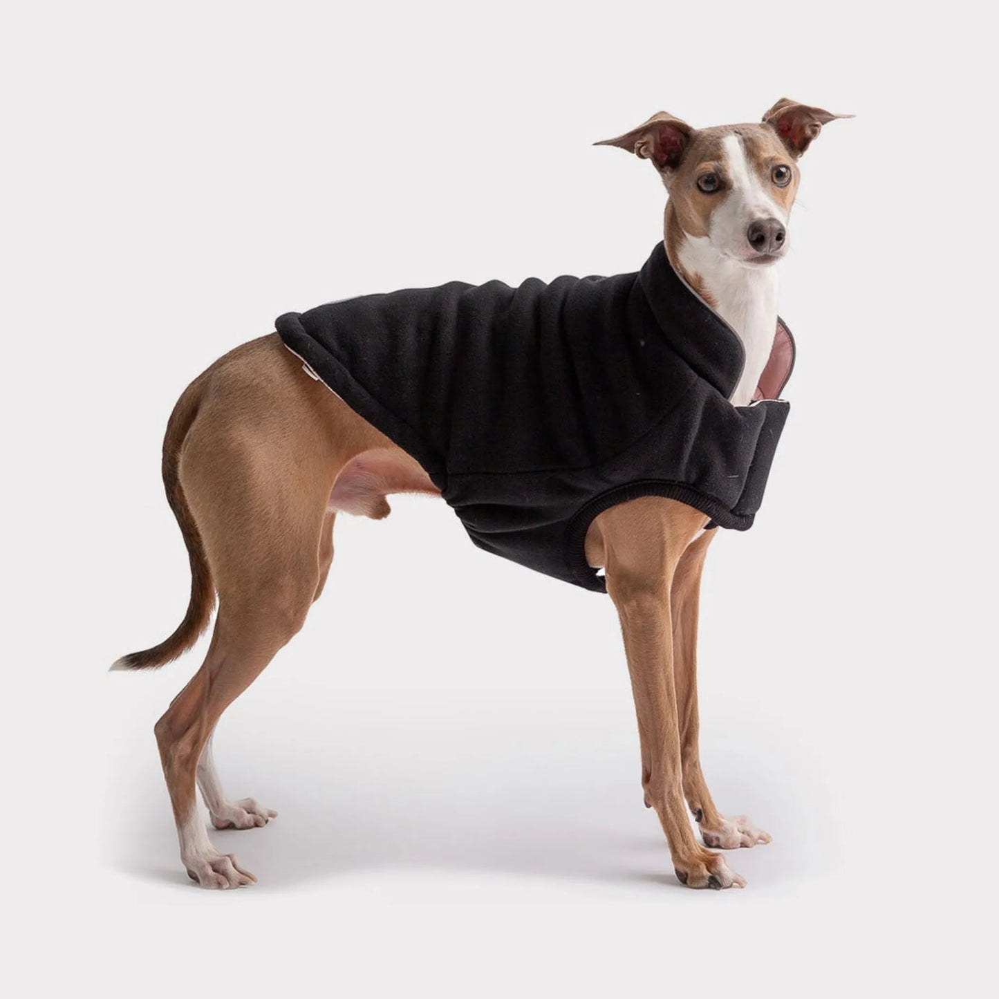 FIRST PRESS - PETS - URBAN CORE ADVENTURE COLLECTION - Chalet Jacket