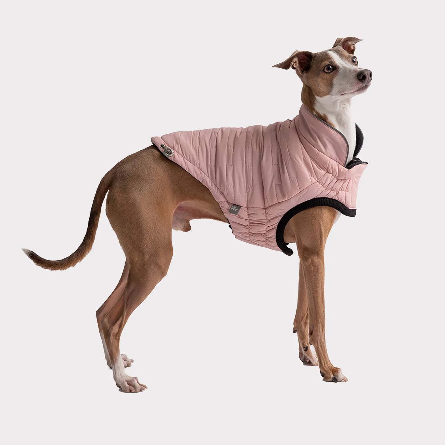 FIRST PRESS - PETS - URBAN CORE ADVENTURE COLLECTION - Chalet Jacket