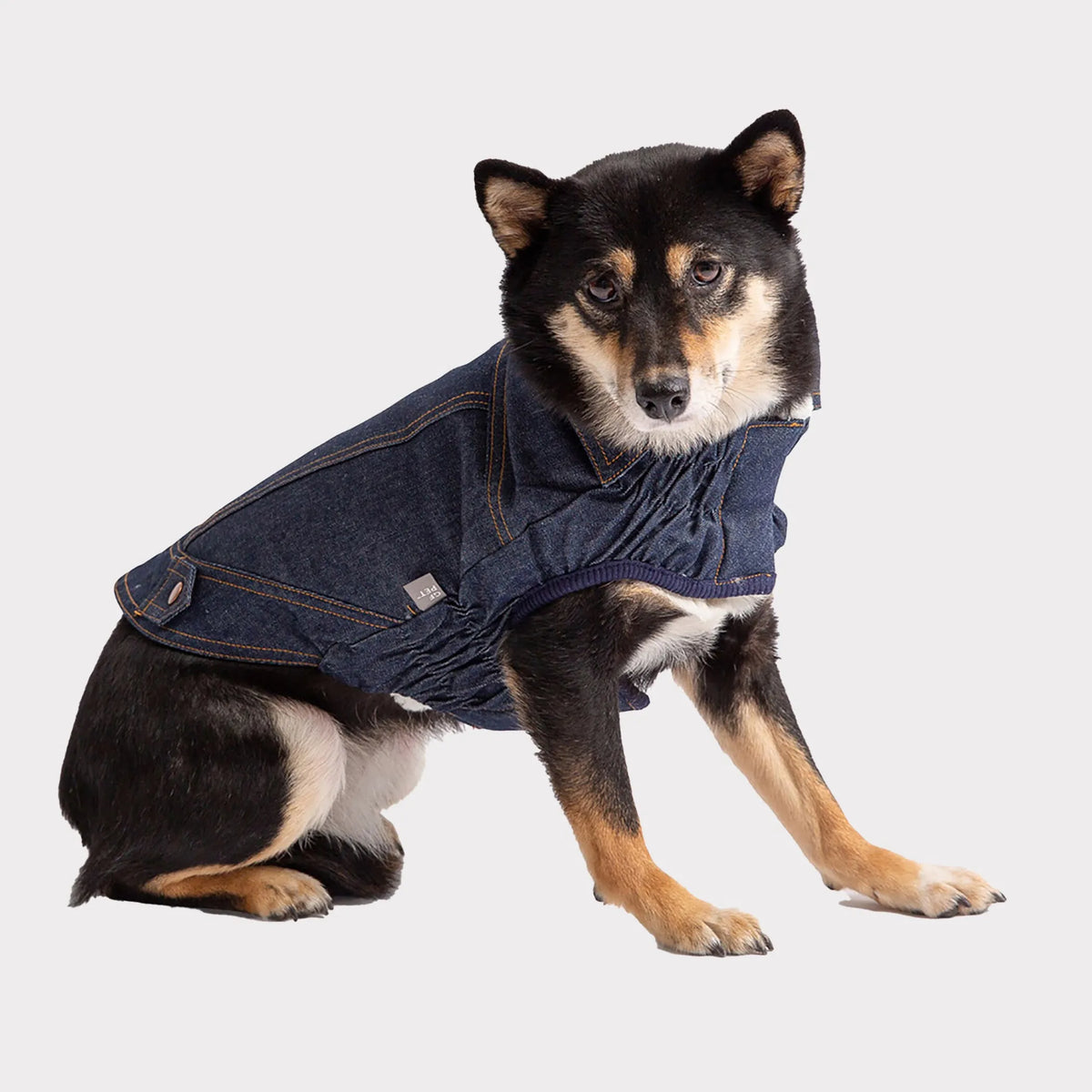 FIRST PRESS - PETS - URBAN CORE ADVENTURE COLLECTION - Denim Jacket
