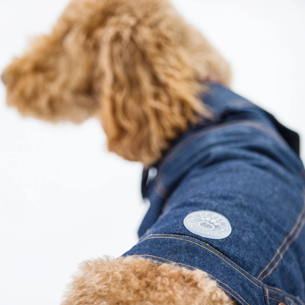 FIRST PRESS - PETS - URBAN CORE ADVENTURE COLLECTION - Denim Jacket