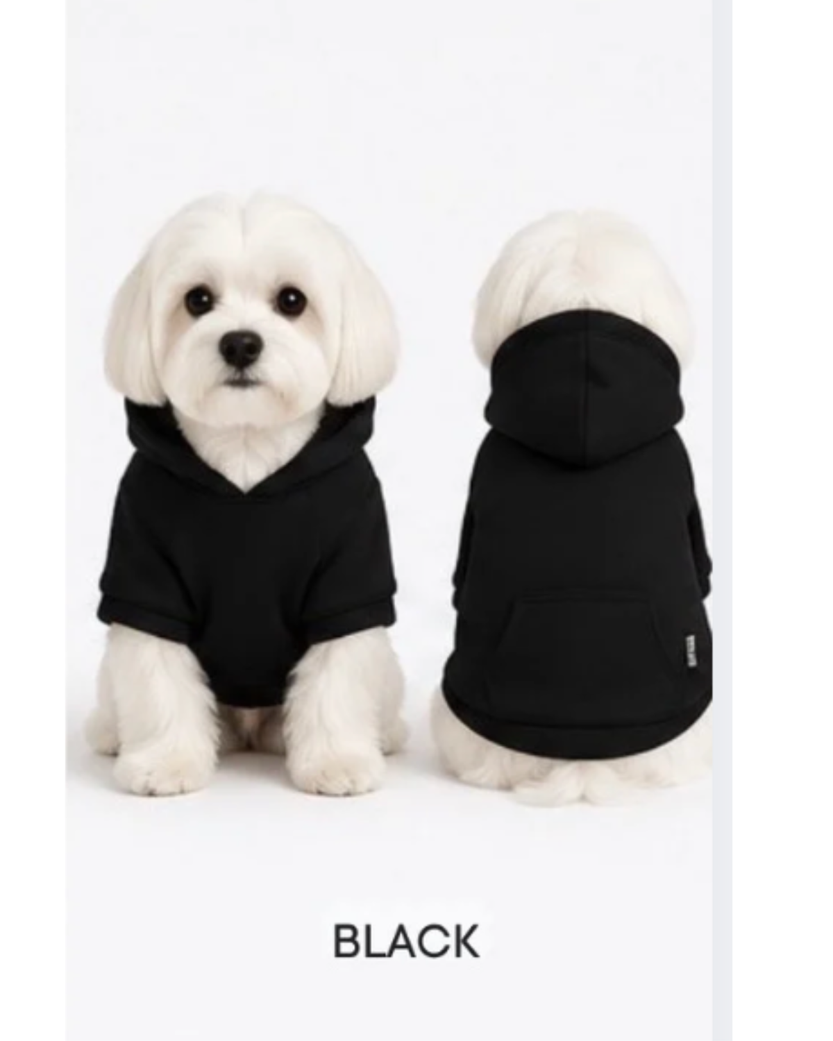 FIRST PRESS - PETS - URBAN CORE COLLECTION - Urban Core Hoodie