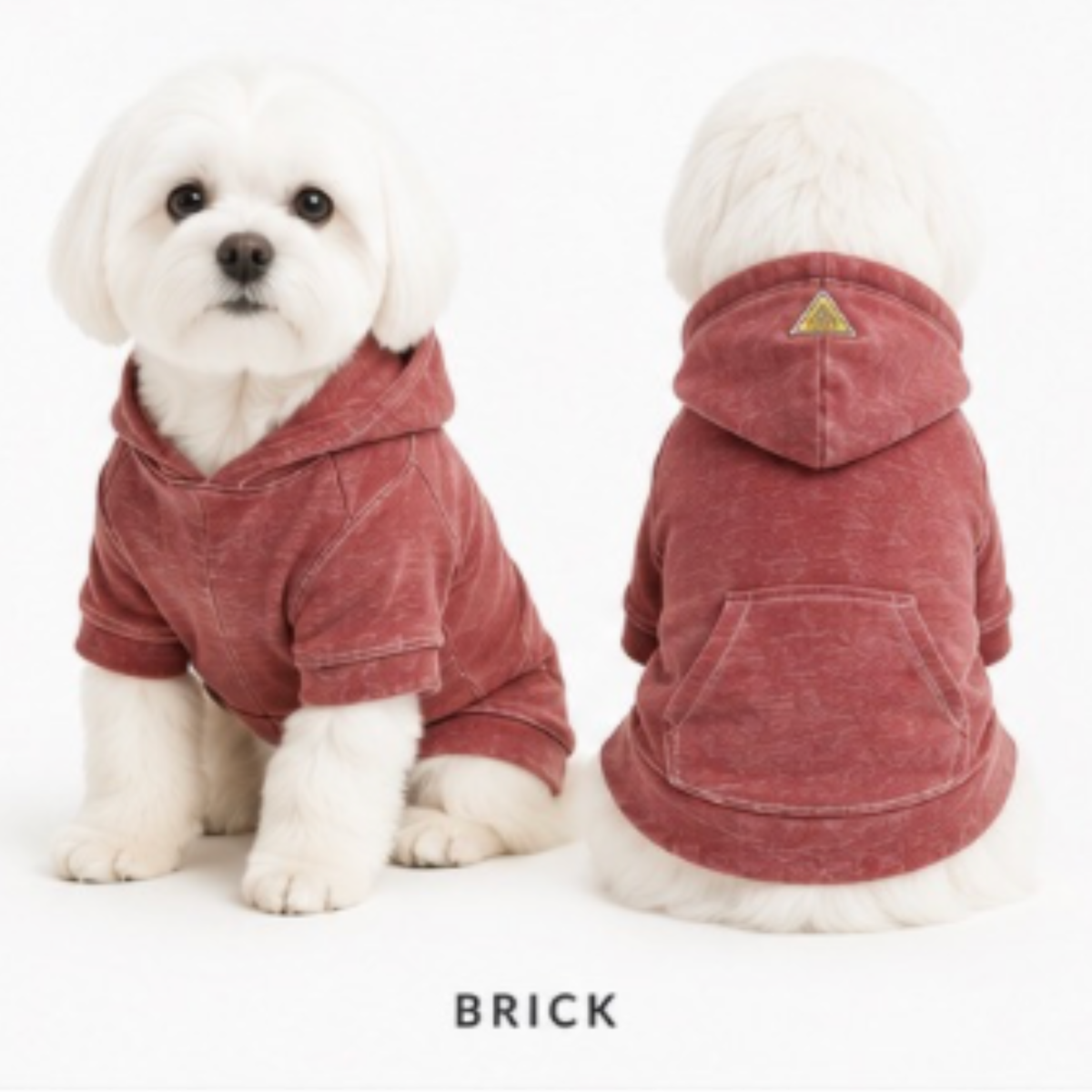 FIRST PRESS - PETS - URBAN CORE COLLECTION - Burnout Washed Hoodie
