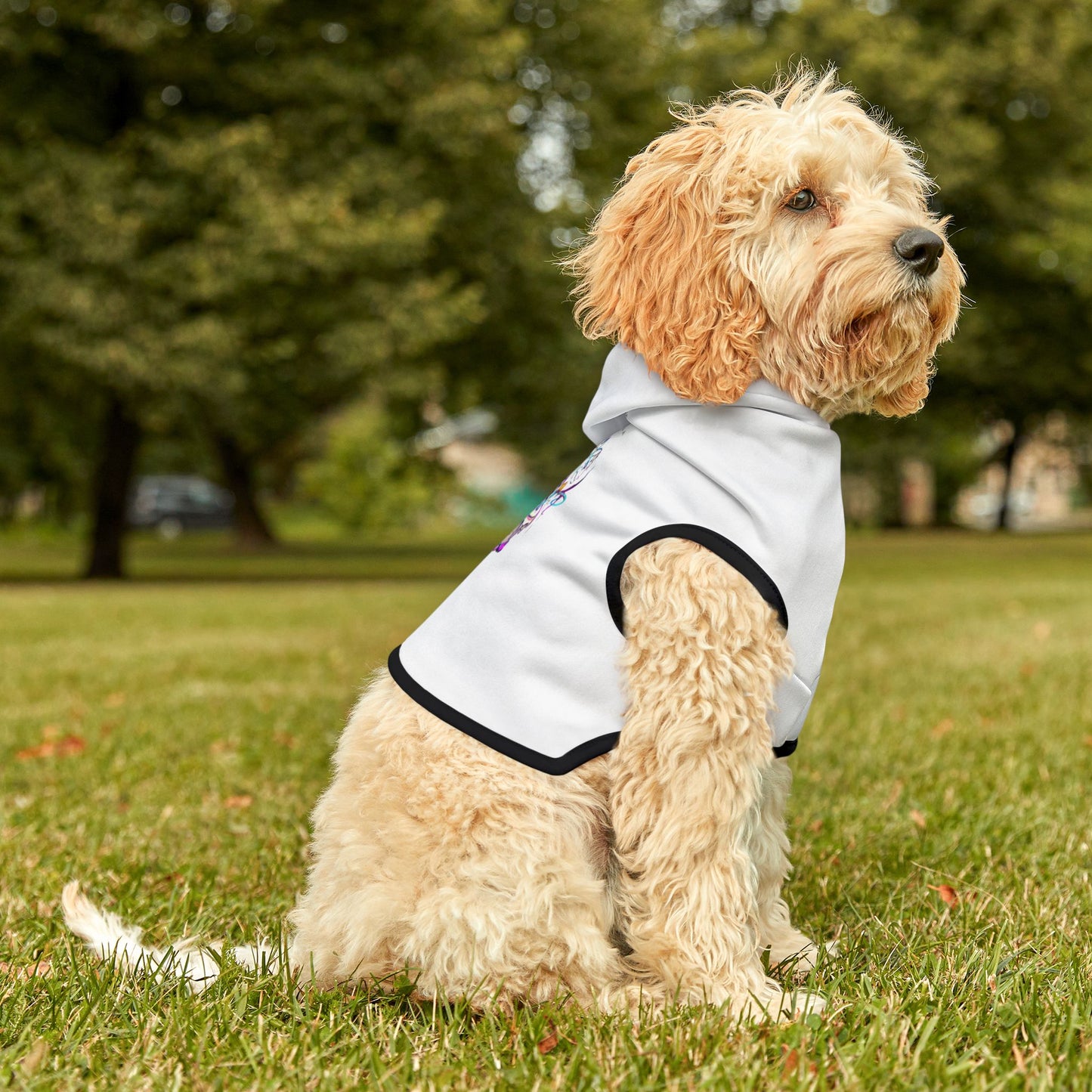 FIRST PRESS - BIRTHDAY DROP - "Born To Be Extra" Essential Lightweight Hoodie